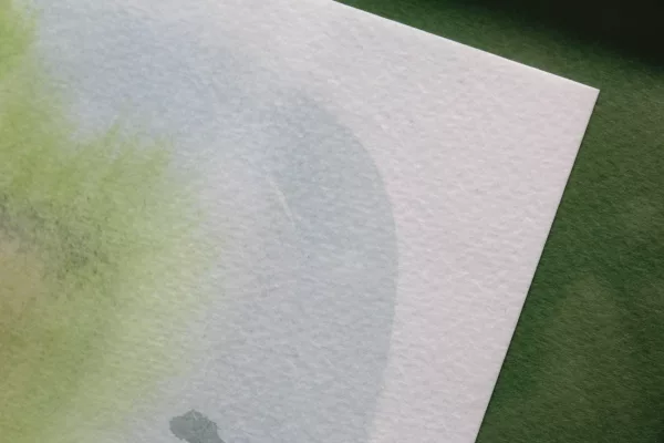 Aquarelle Algue 110725-3 – Image 2