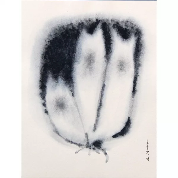 Aquarelle Algue 110725-7